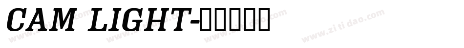 Cam Light字体转换